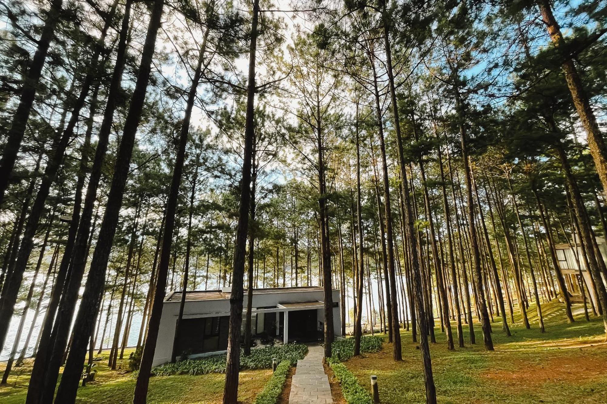 Terracotta Hotel & Resort Dalat Buitenkant foto